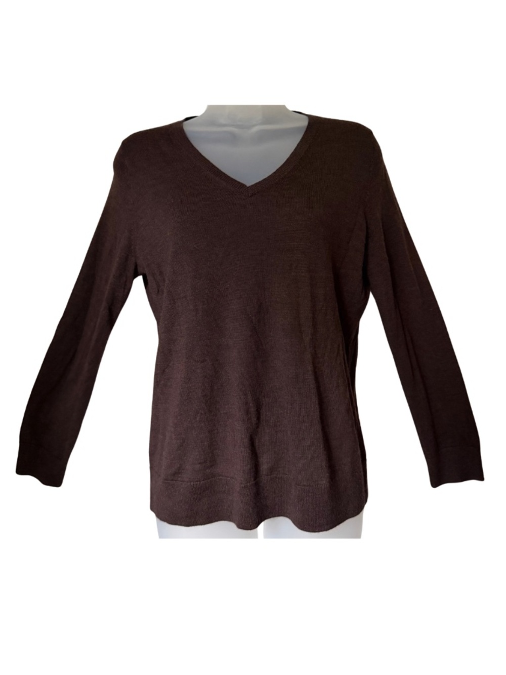 Talbots Petites LP 100% Merino Wool Chocolate Brown V-Neck Large Sweater Women's